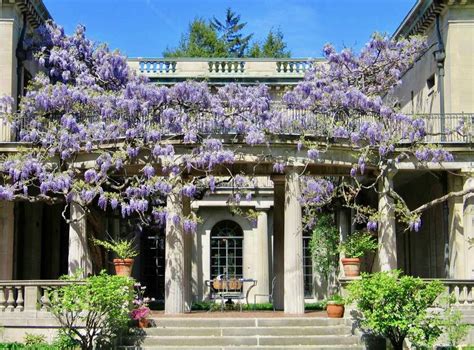 Van vleck house and gardens - Fall is here and it brings with it many changes to our wonderful gardens and plantings to be found on the property. Stop by and enjoy a different take on the gardens. Click to see what’s “in bloom”...